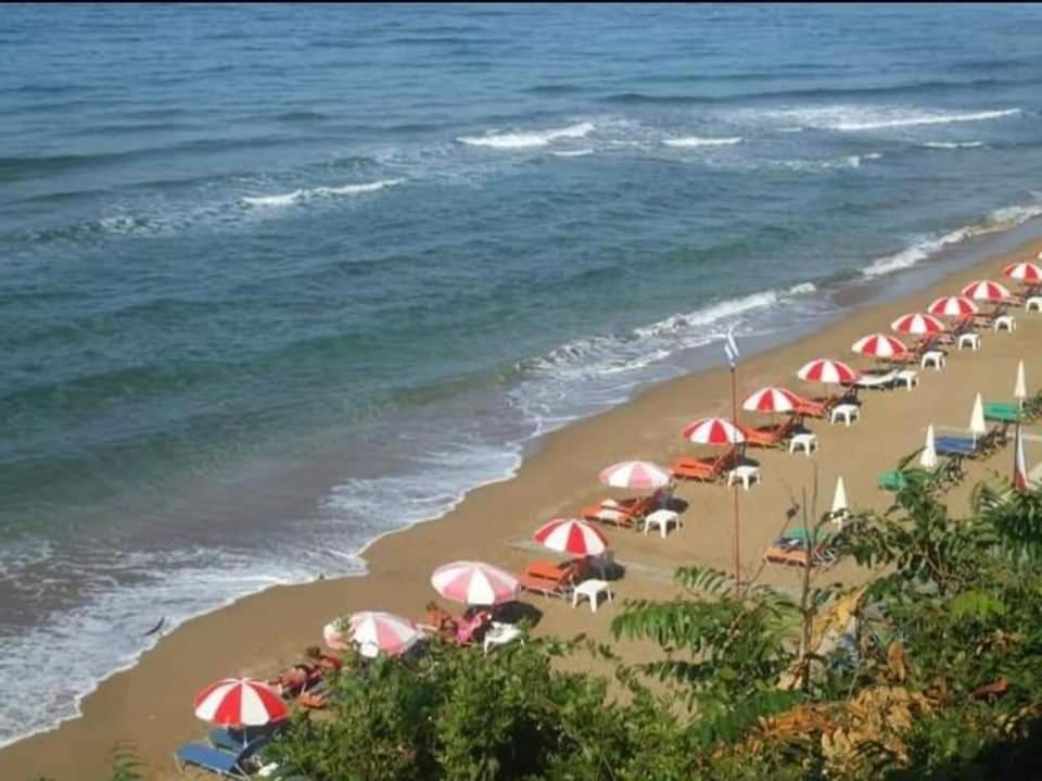 Harmony Corfu Apartments & Studios Екстериор снимка