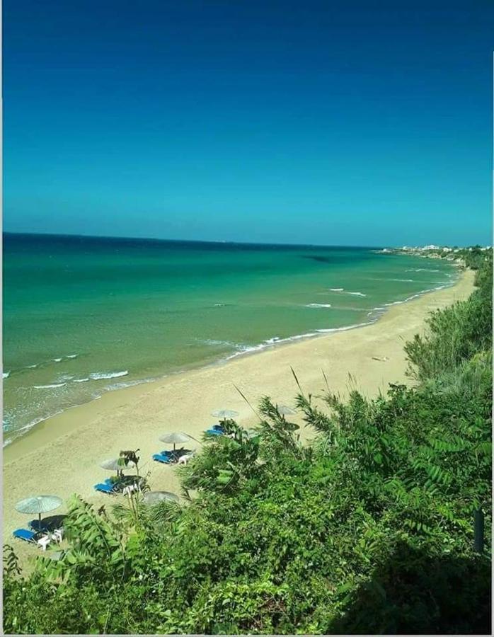 Harmony Corfu Apartments & Studios Екстериор снимка