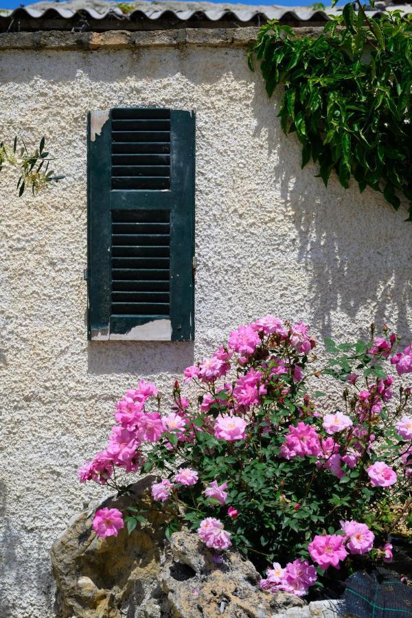 Harmony Corfu Apartments & Studios Екстериор снимка